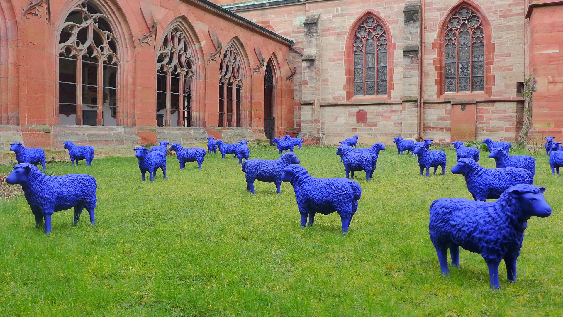 Blaue Schafe beim Basler Münster