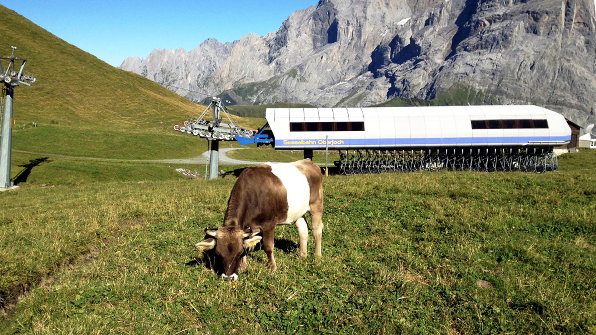 Landwirtschaft in Tourismusgebiet, Berner Oberland