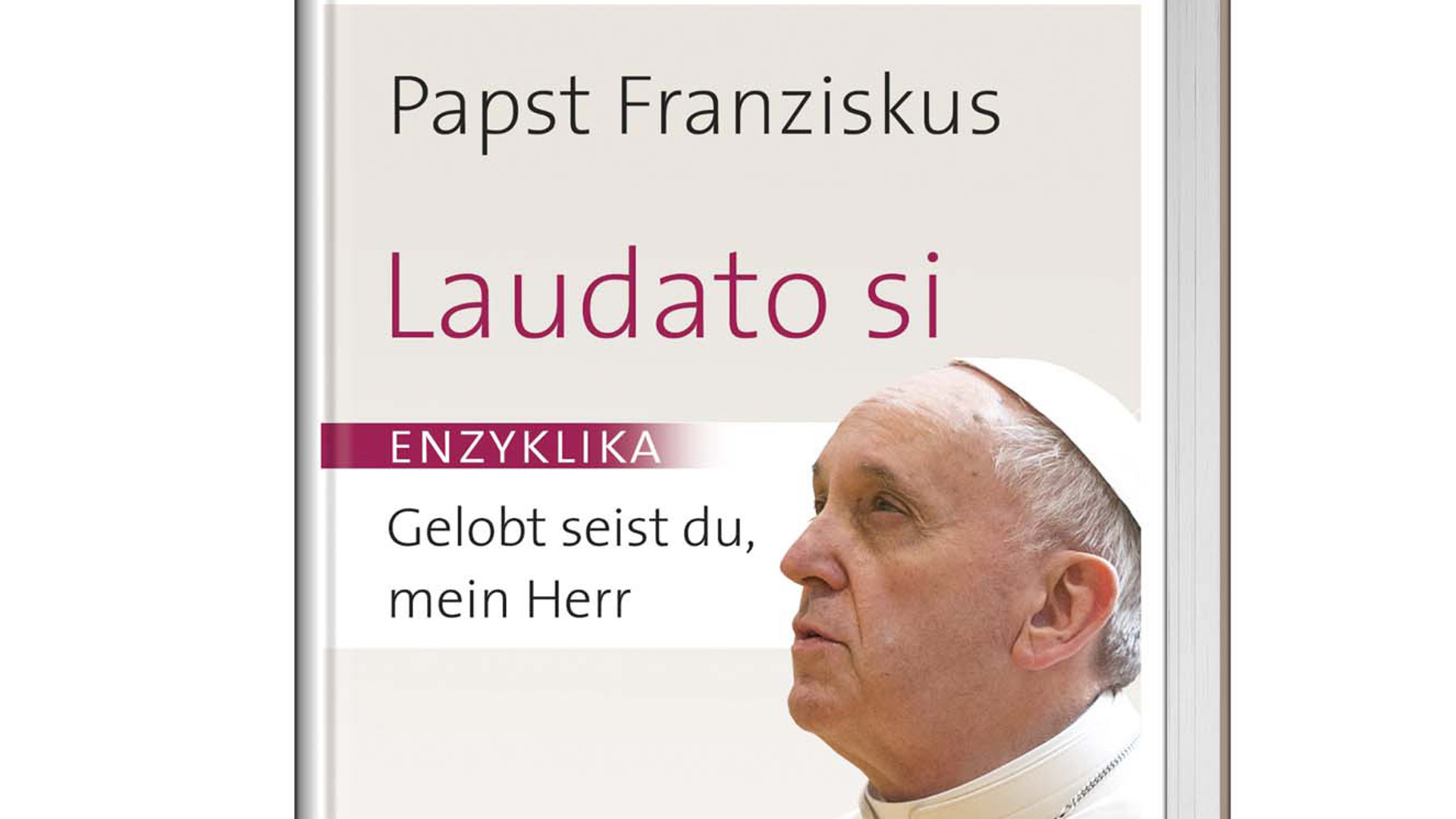 Umweltenzyklika von Papst Franziskus (Buchcover)