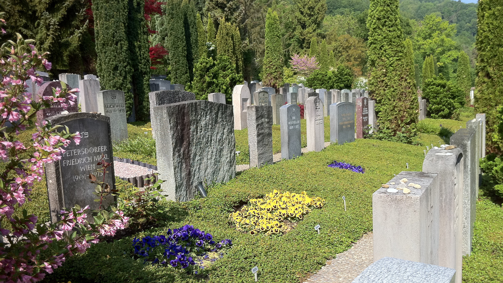 Jüdischer Friedhof Friesenberg