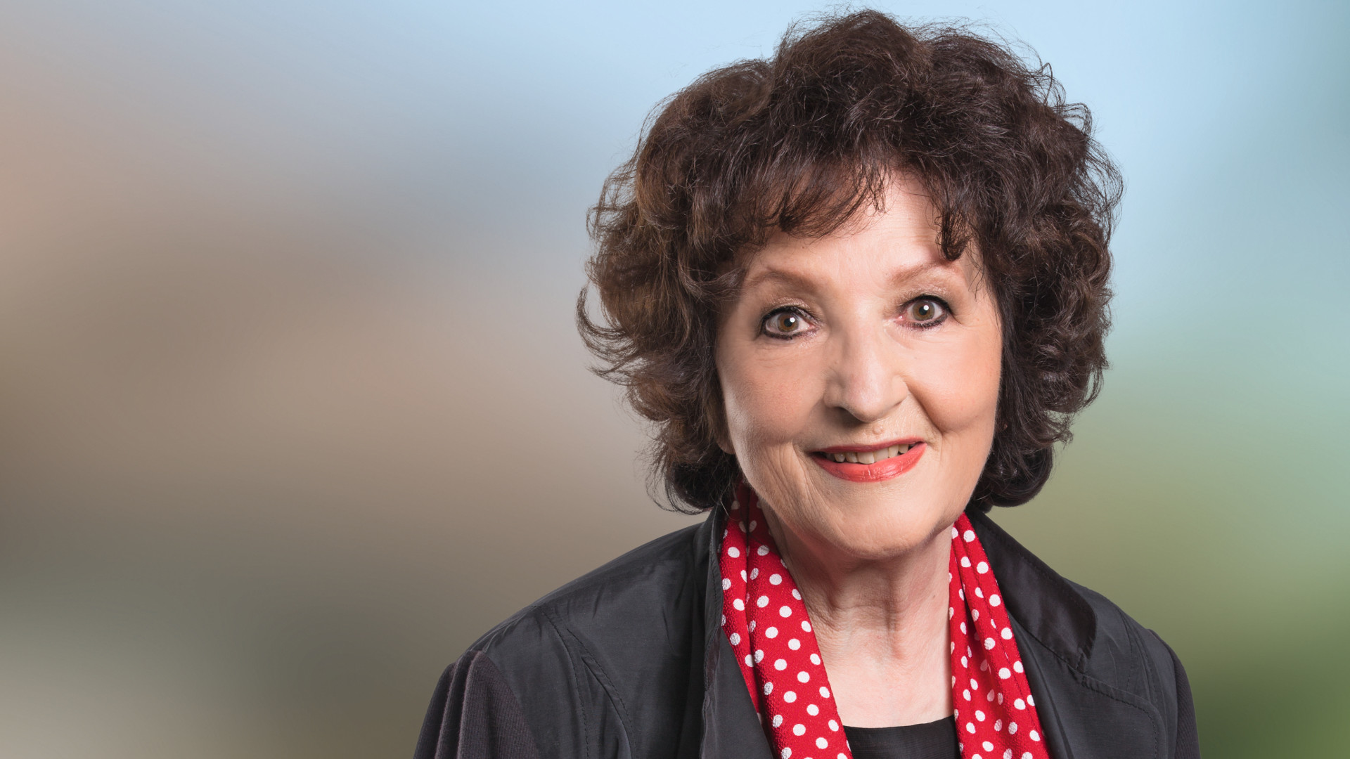 Bea Heim, Nationalrätin SP
