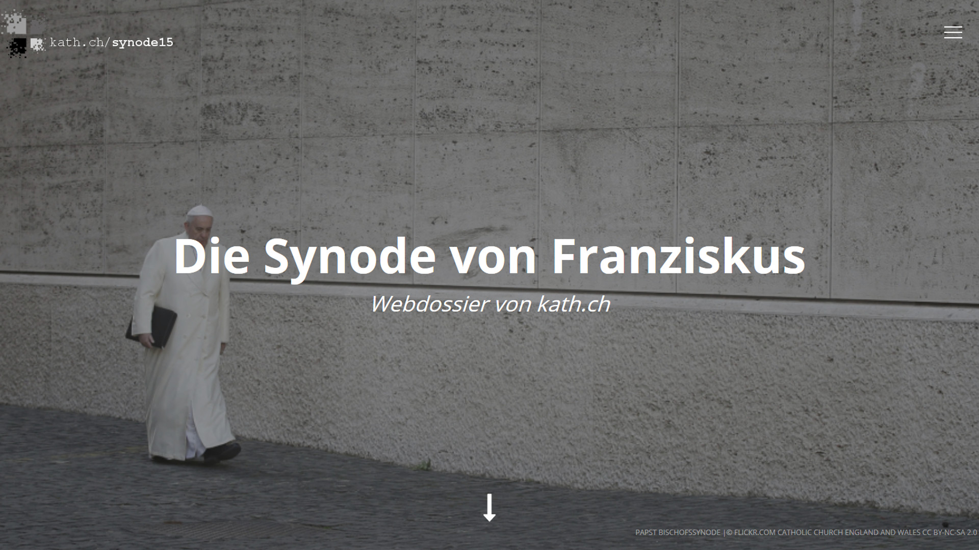 Webdossier zur Bischofssynode 2015