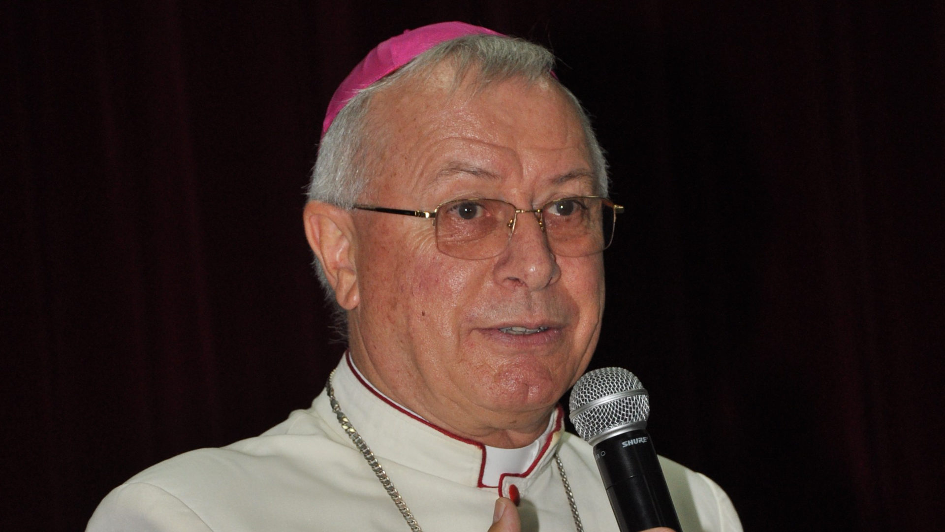 Paul Hinder, Bischof in Arabien