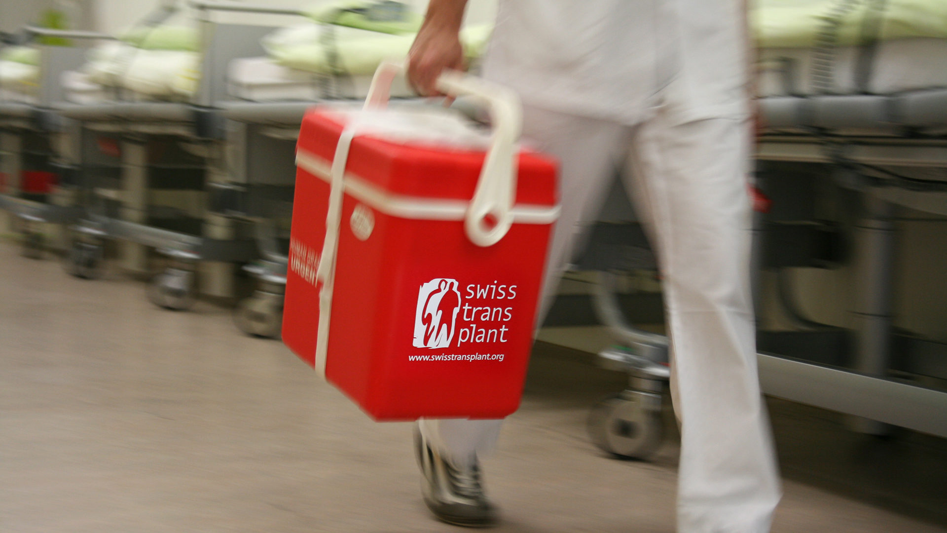 Transportbox bei Transplantationen
