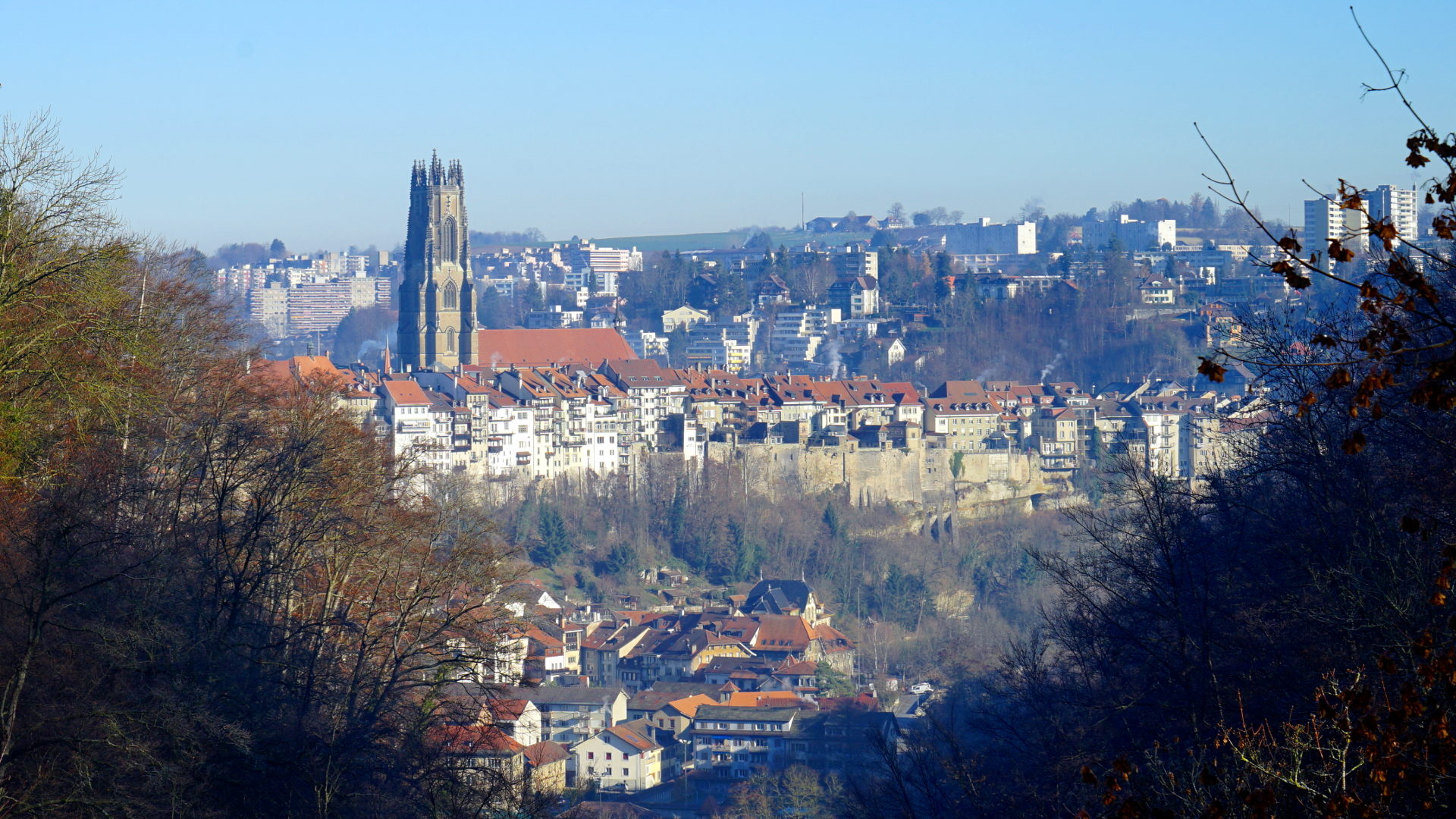 Die Altstadt von Freiburg mit Kathedrale