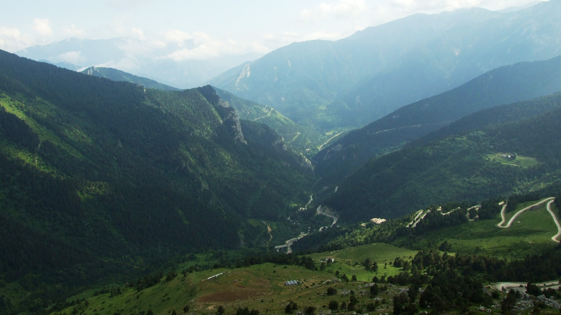 Roja-Tal