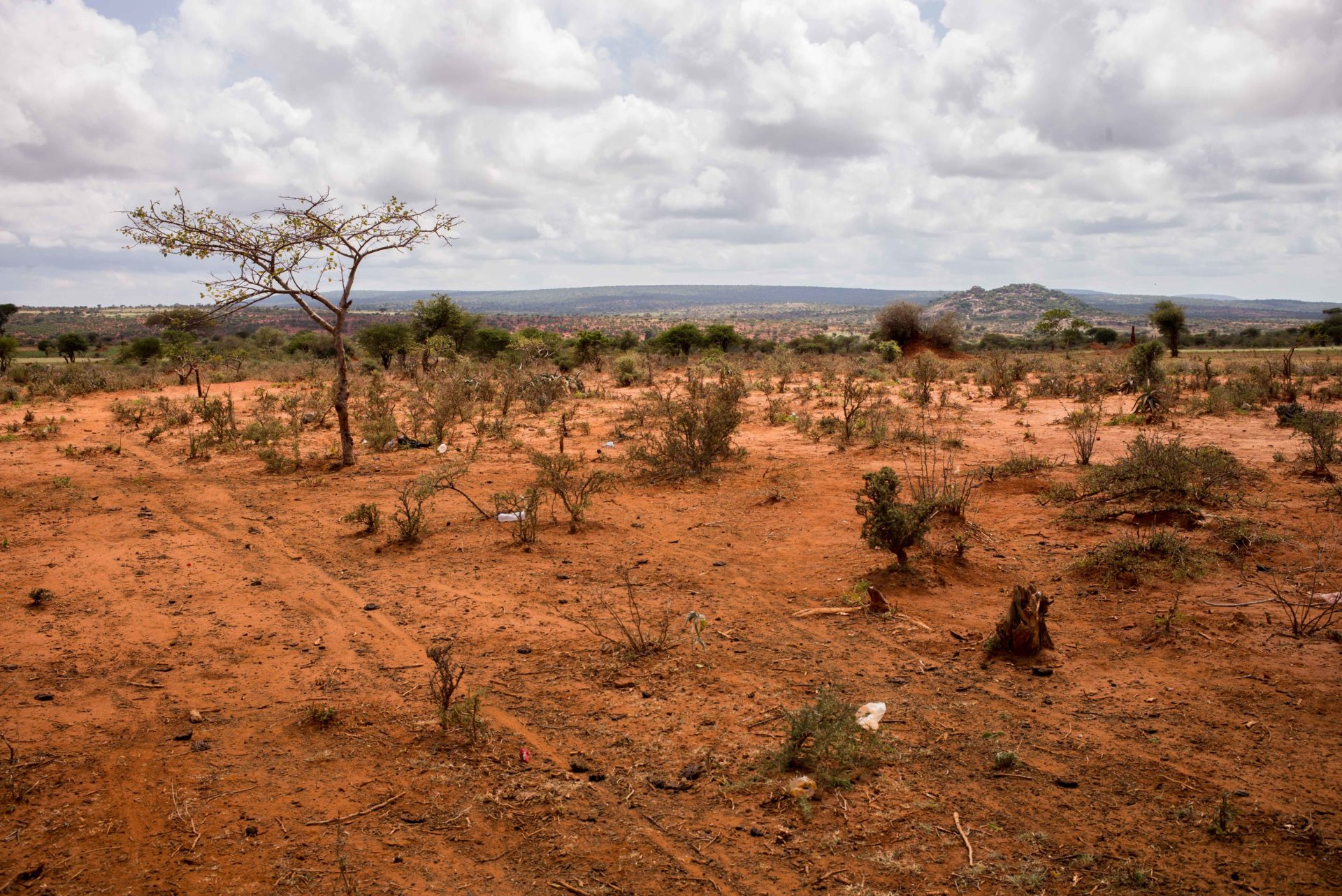 Dürre in Ostafrika.