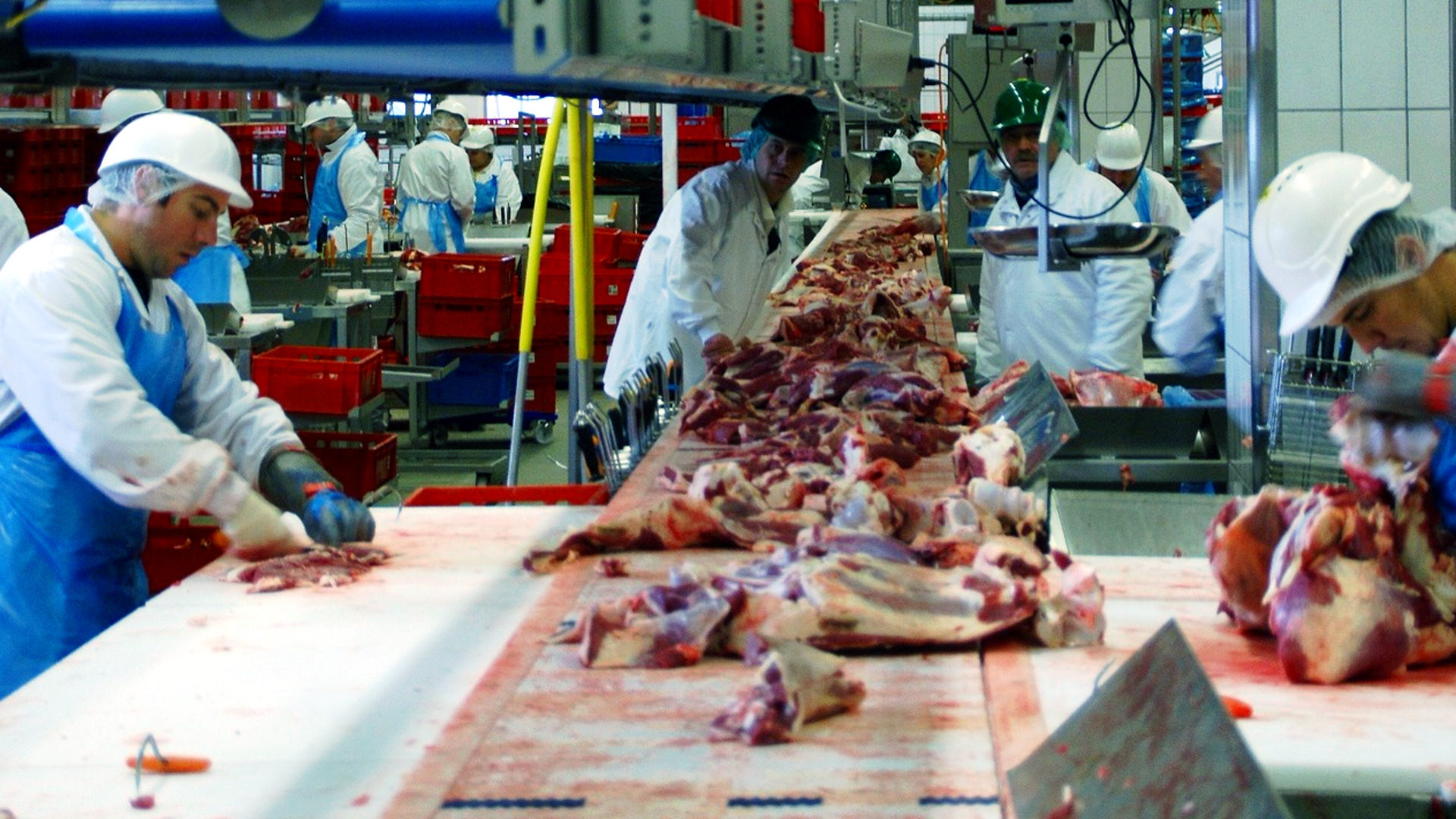 Industrielle Fleischverarbeitung im Schlachthof