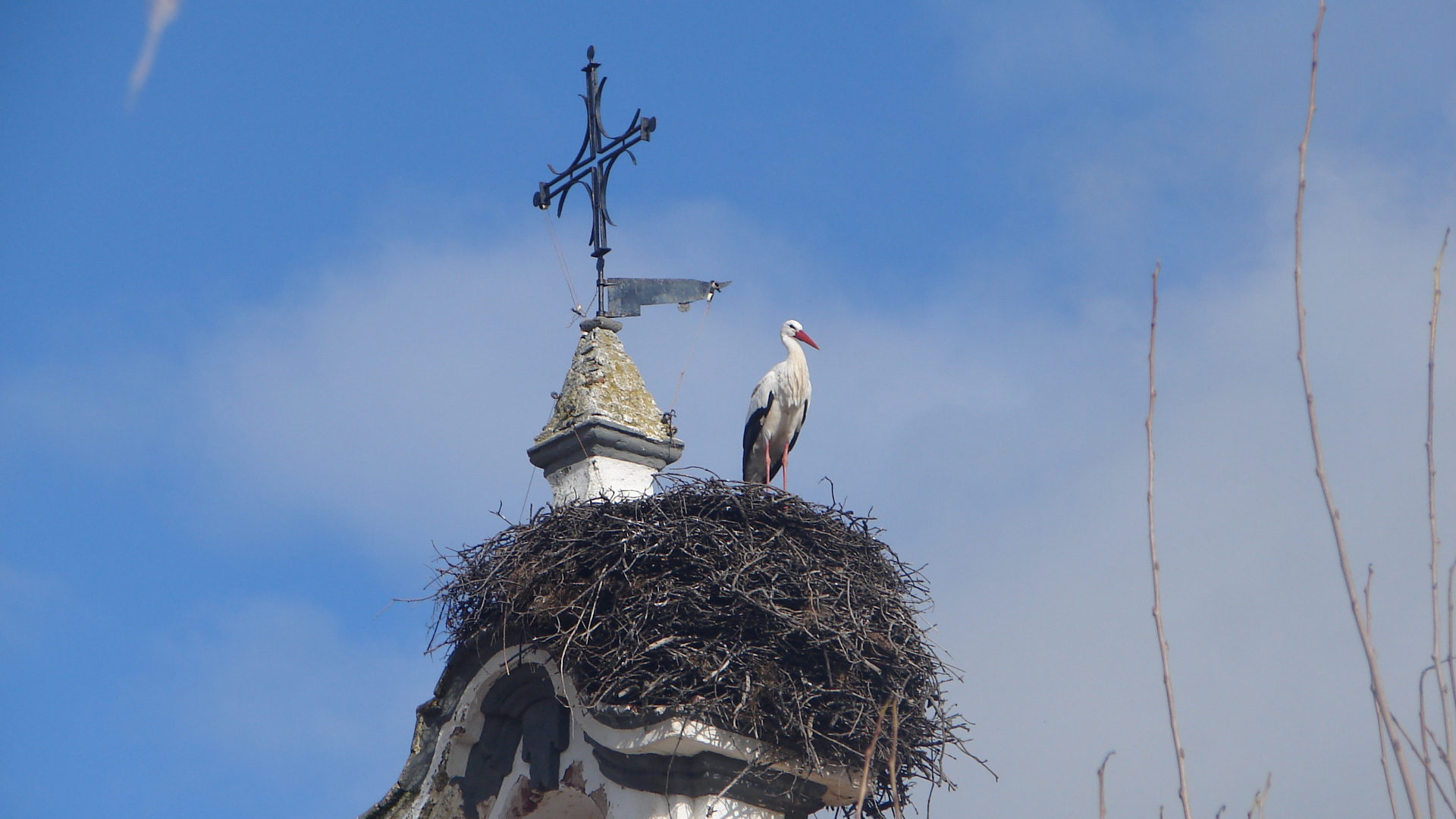 Storchennest auf Kirchetum