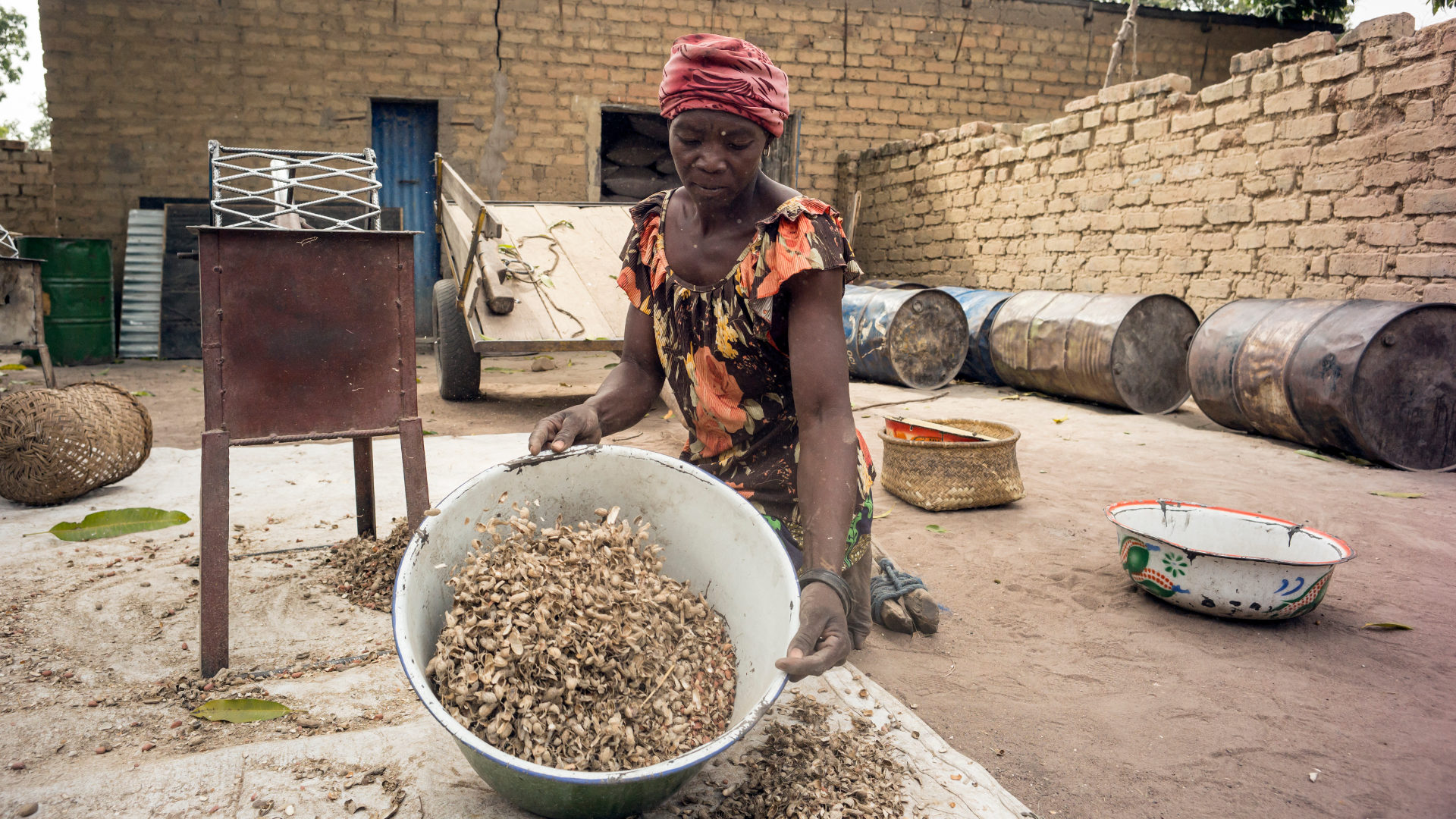 Erdnussproduzentinnen im Tschad