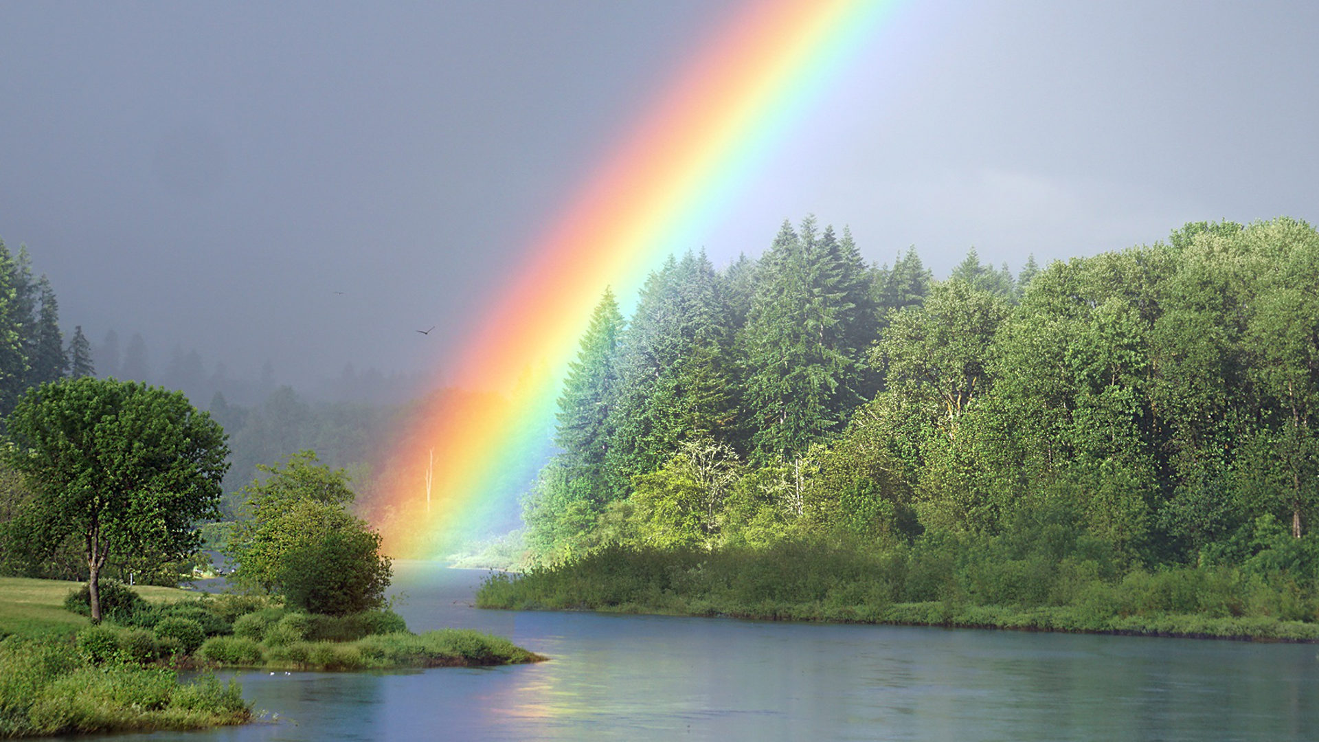 Regenbogen