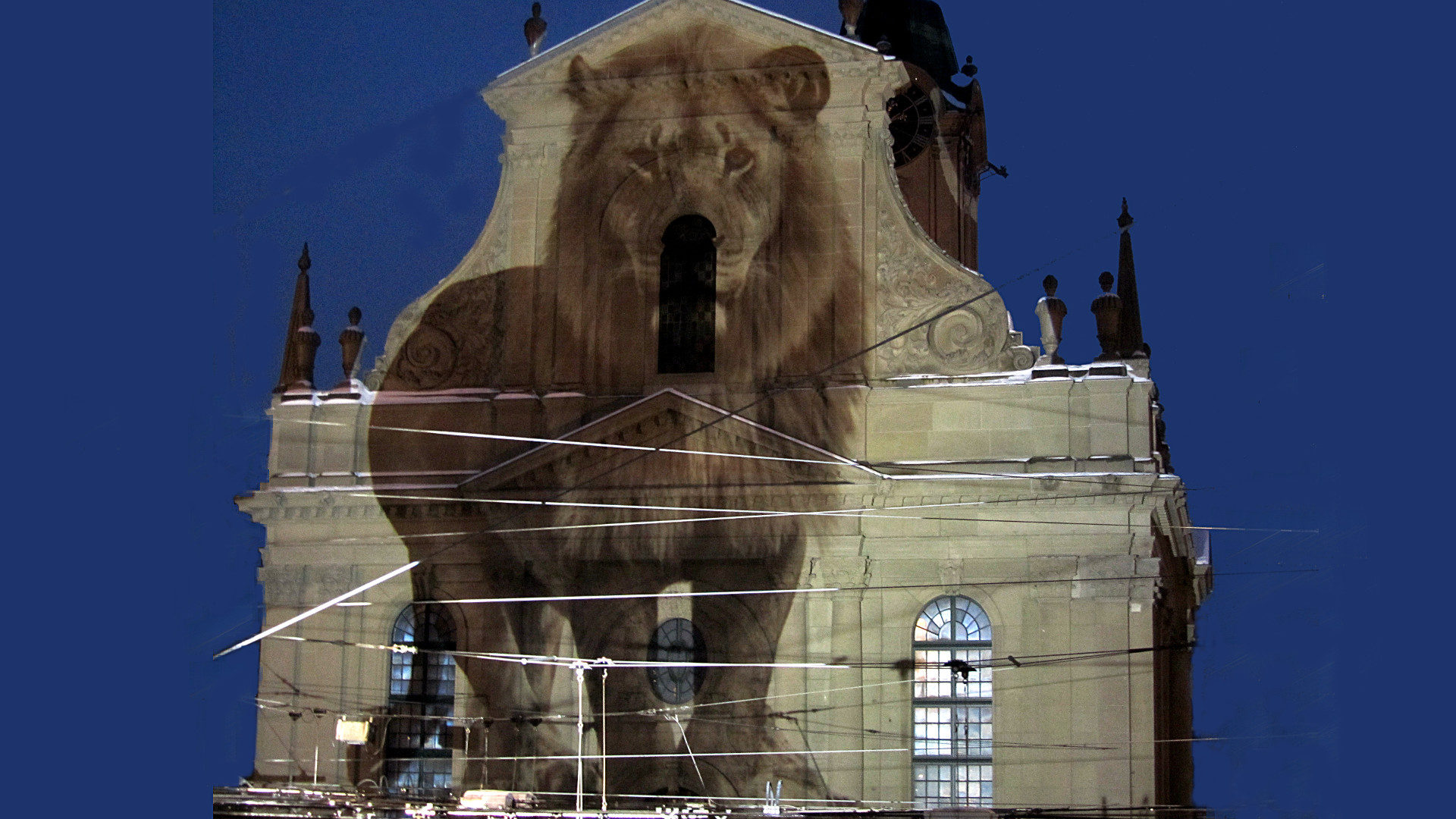 World Wildlife Day auf der Heiliggeistkirche Bern