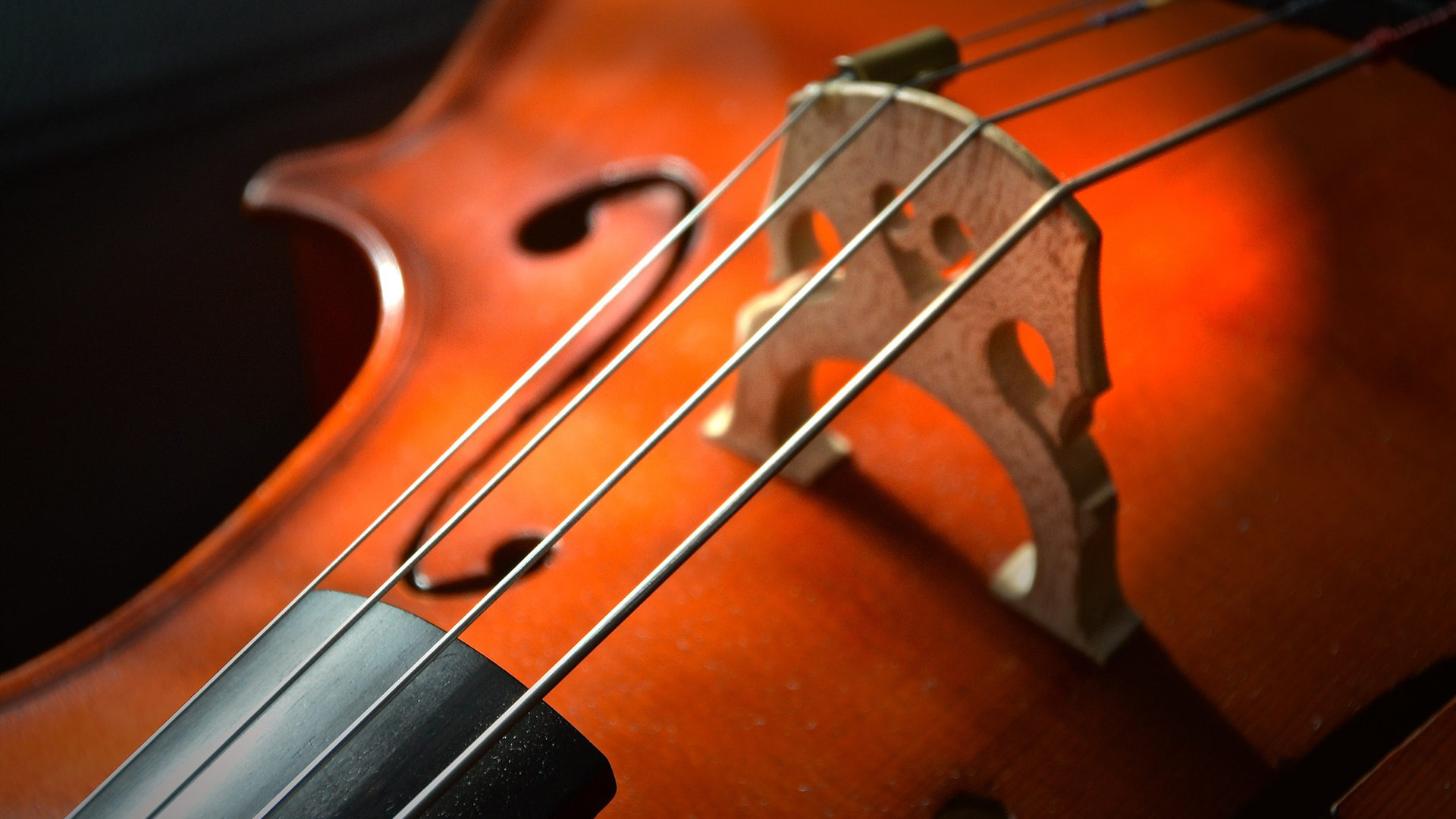 Gespannte Cellosaiten | © pixabay.com