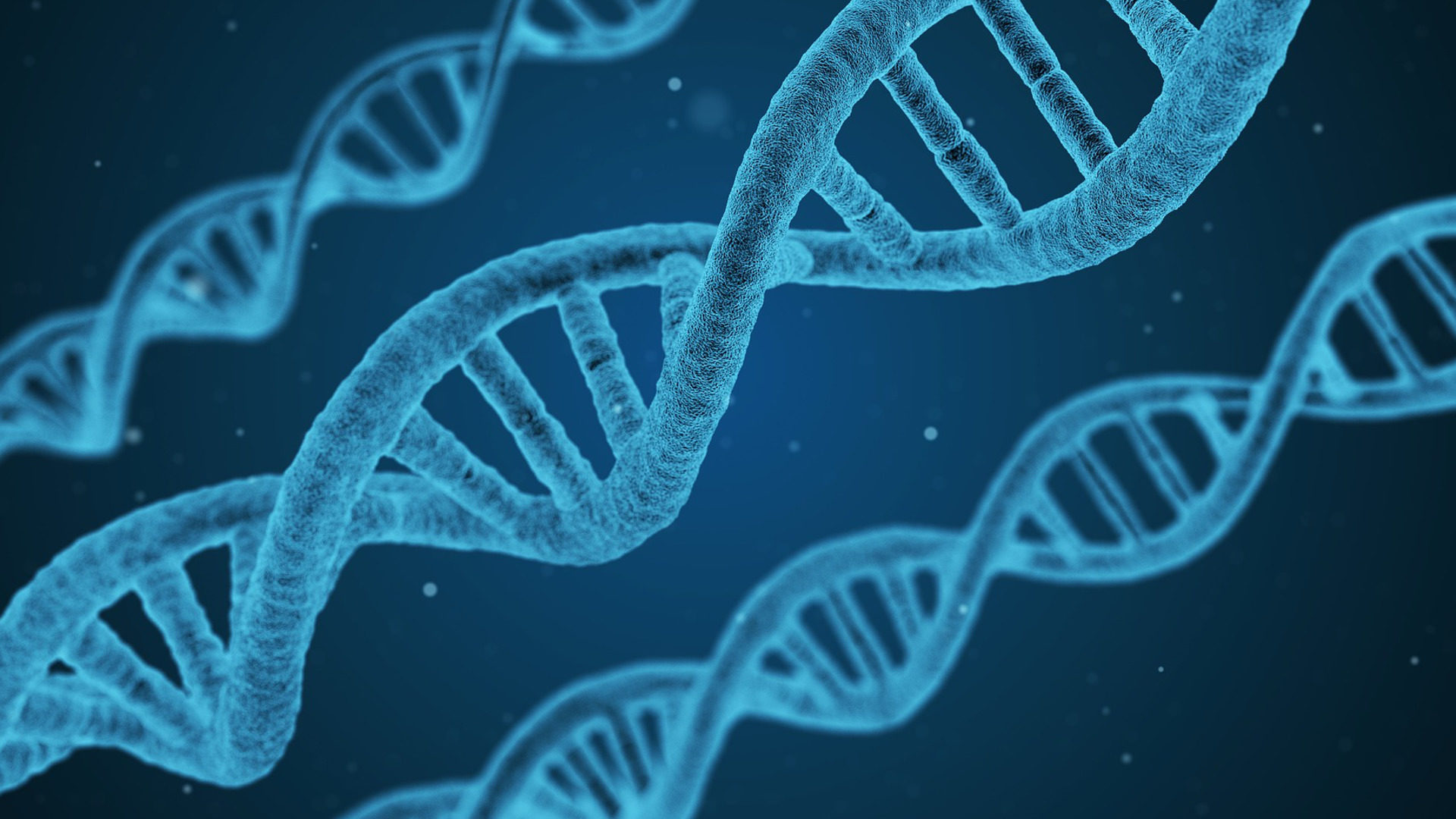 DNA-Stränge