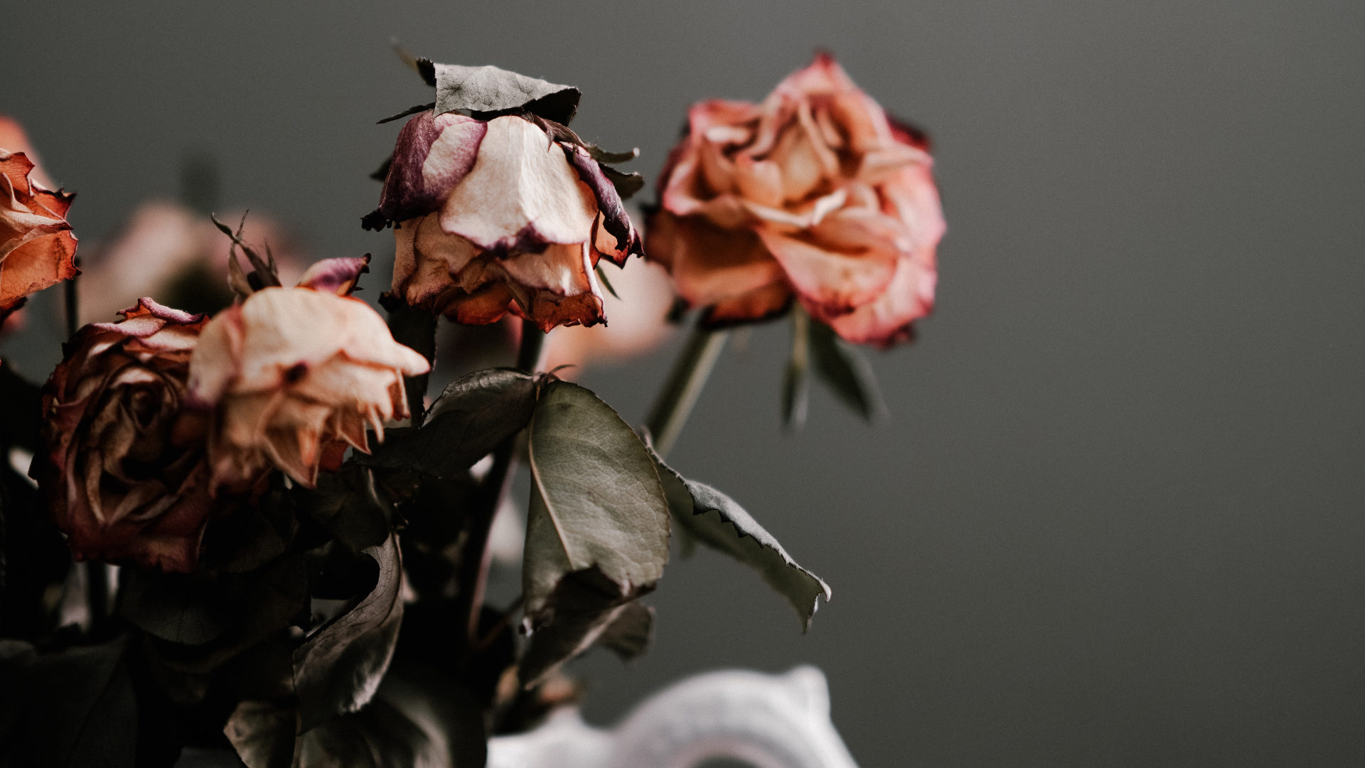 Welke Rosen
