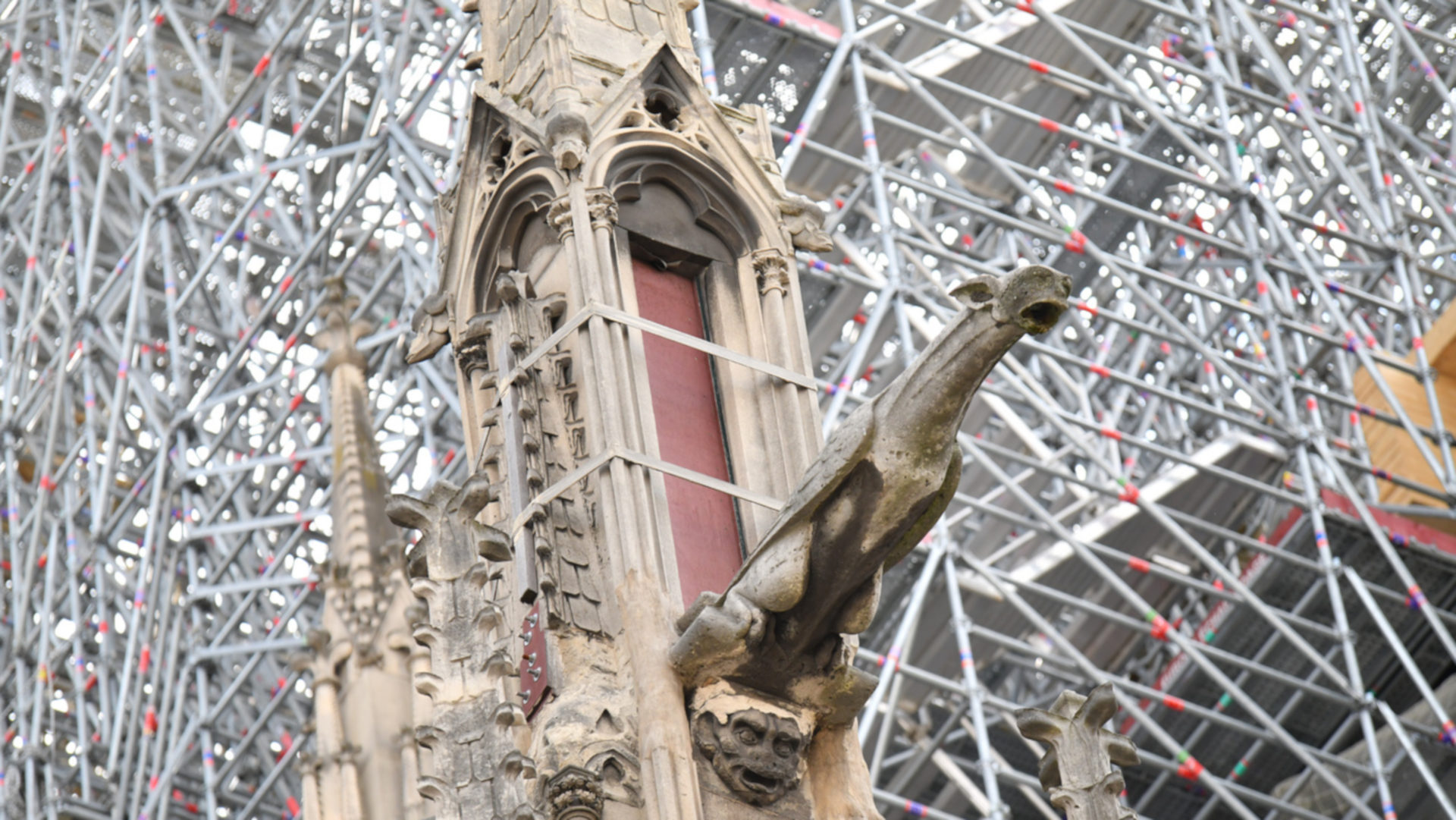 Wasserspeier in der Kathedrale Notre Dame vor ihrem Einsatz im ersten Gottesdienst nach dem Brand.
