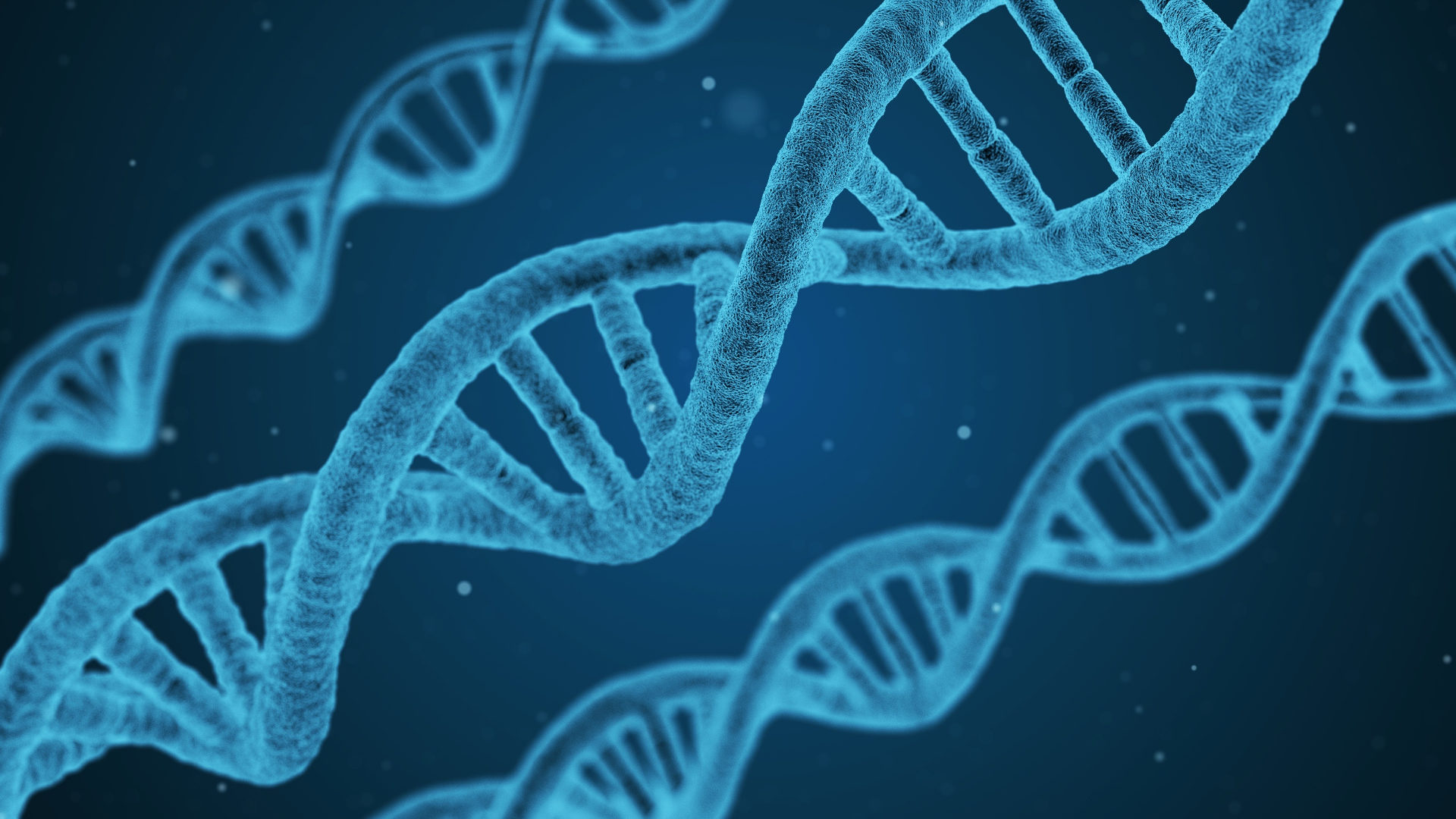 Kostbares Erbgut: DNA-Stränge