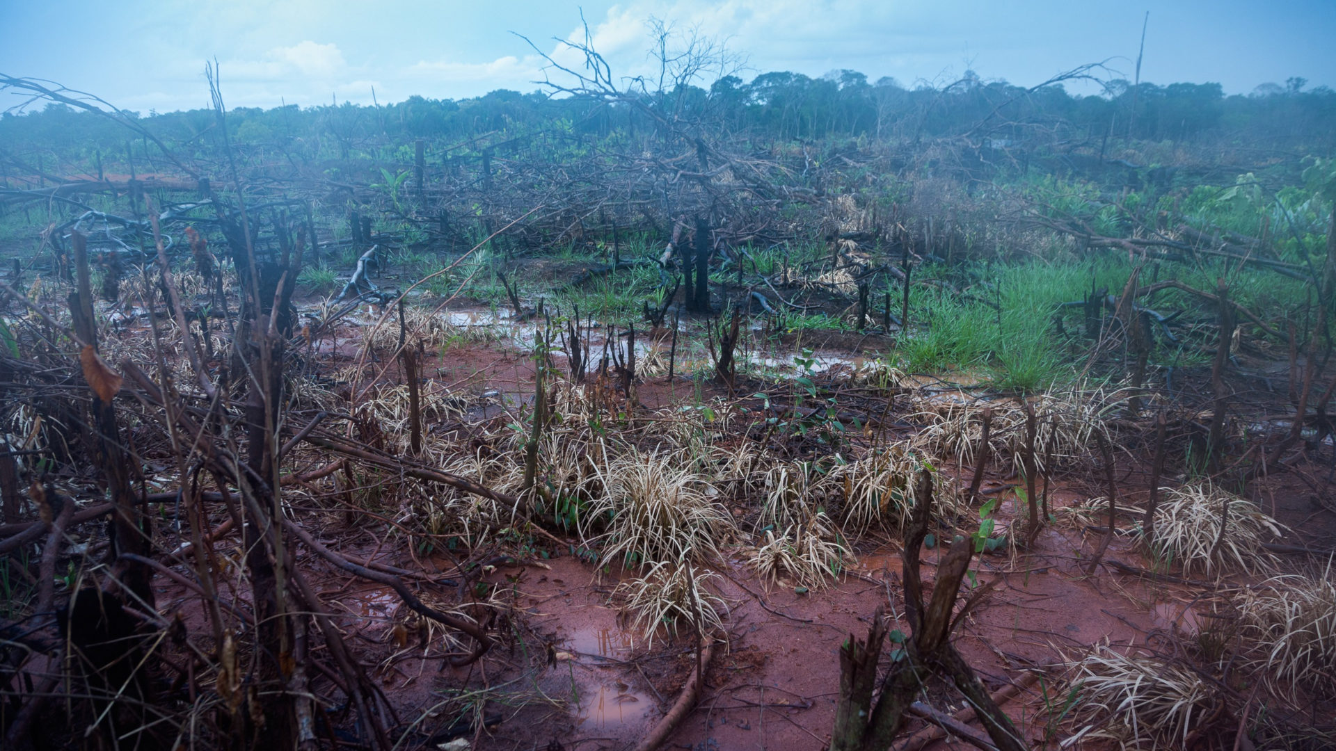 Brandrodung an der Transamazonica, einem Strassenprojekt quer durch das Amazonasgebiet