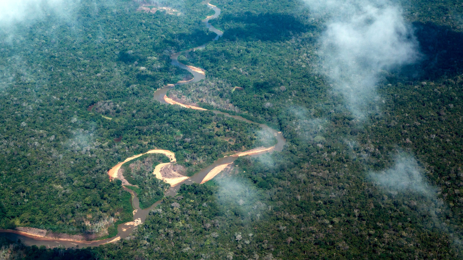 Dichter Amazonas-Urwald im Distrikt Roraima, Brasilien | © Adveniat