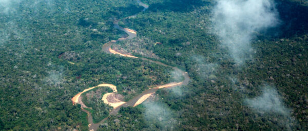 Dichter Amazonas-Urwald im Distrikt Roraima, Brasilien. | Adveniat