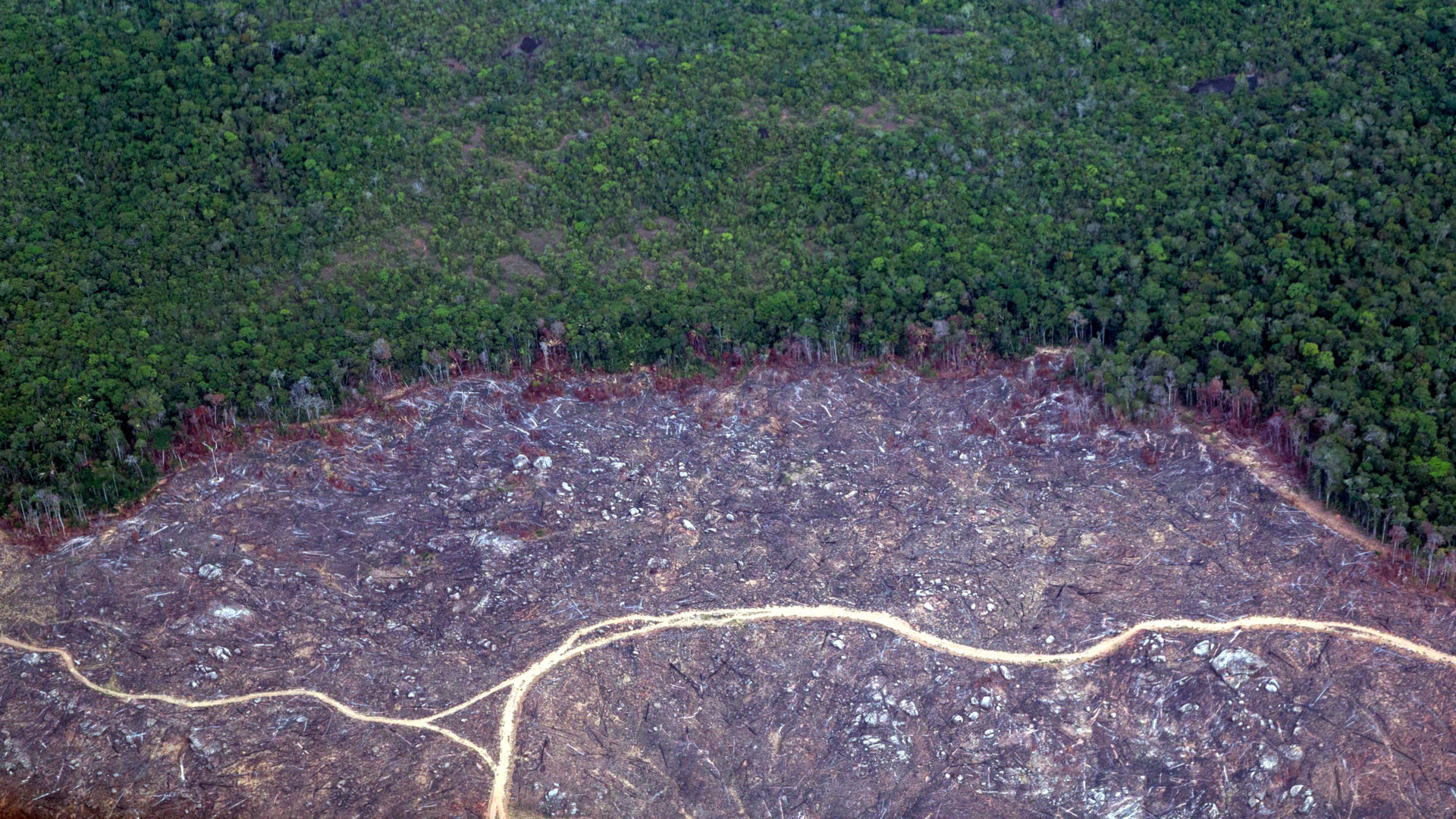 Gerodete Waldfläche im Amazonas-Urwald | © Adveniat