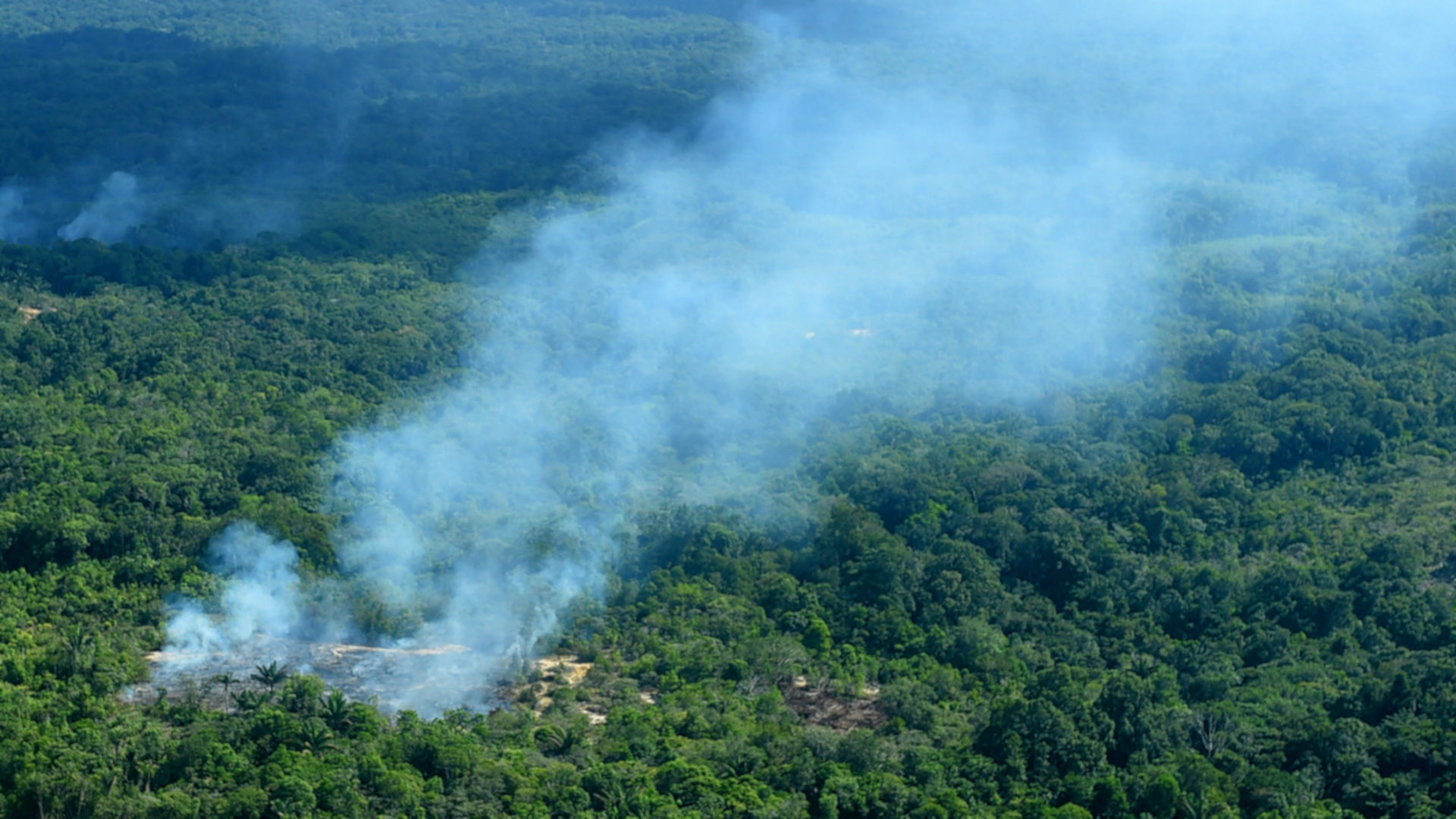 Waldbrände in der brasilianischen Region Sao Gabriel da Cachoeira
