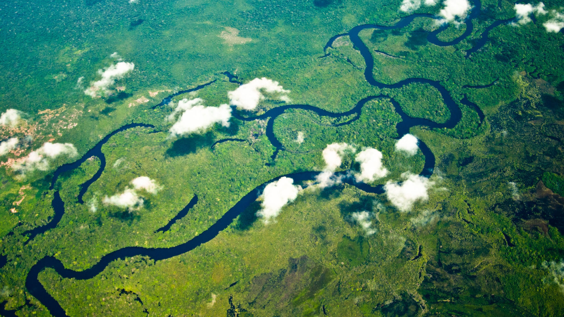 Luftaufnahme des Amazonasregenwaldes