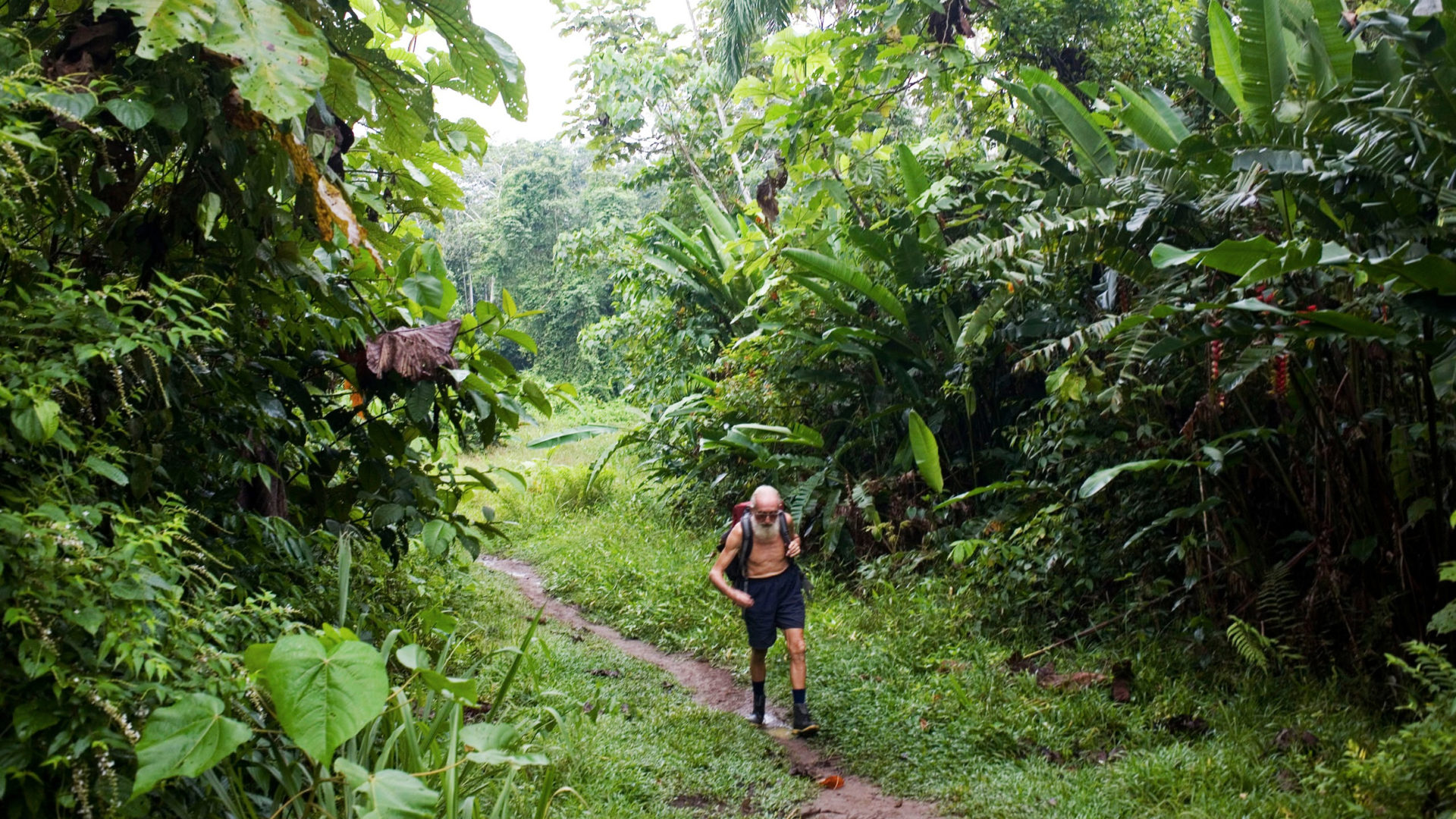 Priester müssen oft tagelang durch den Regenwald laufen, um die Dörfer ihres Pfarrbezirks zu erreichen.