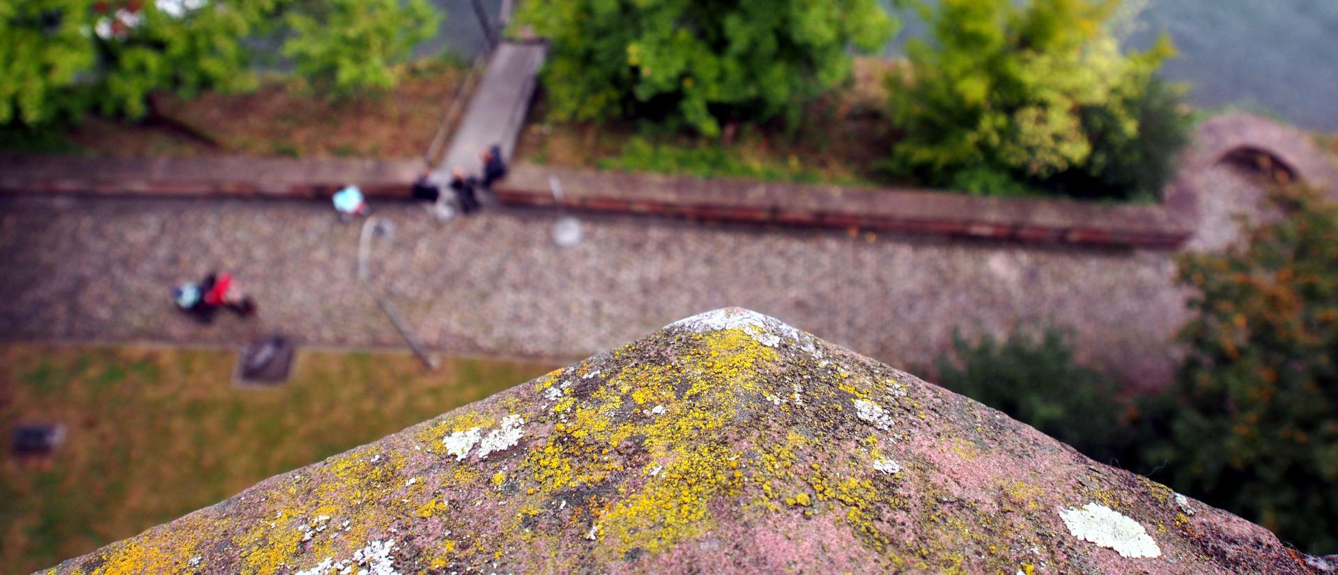 Der Blick von der Pfalz nach unten.