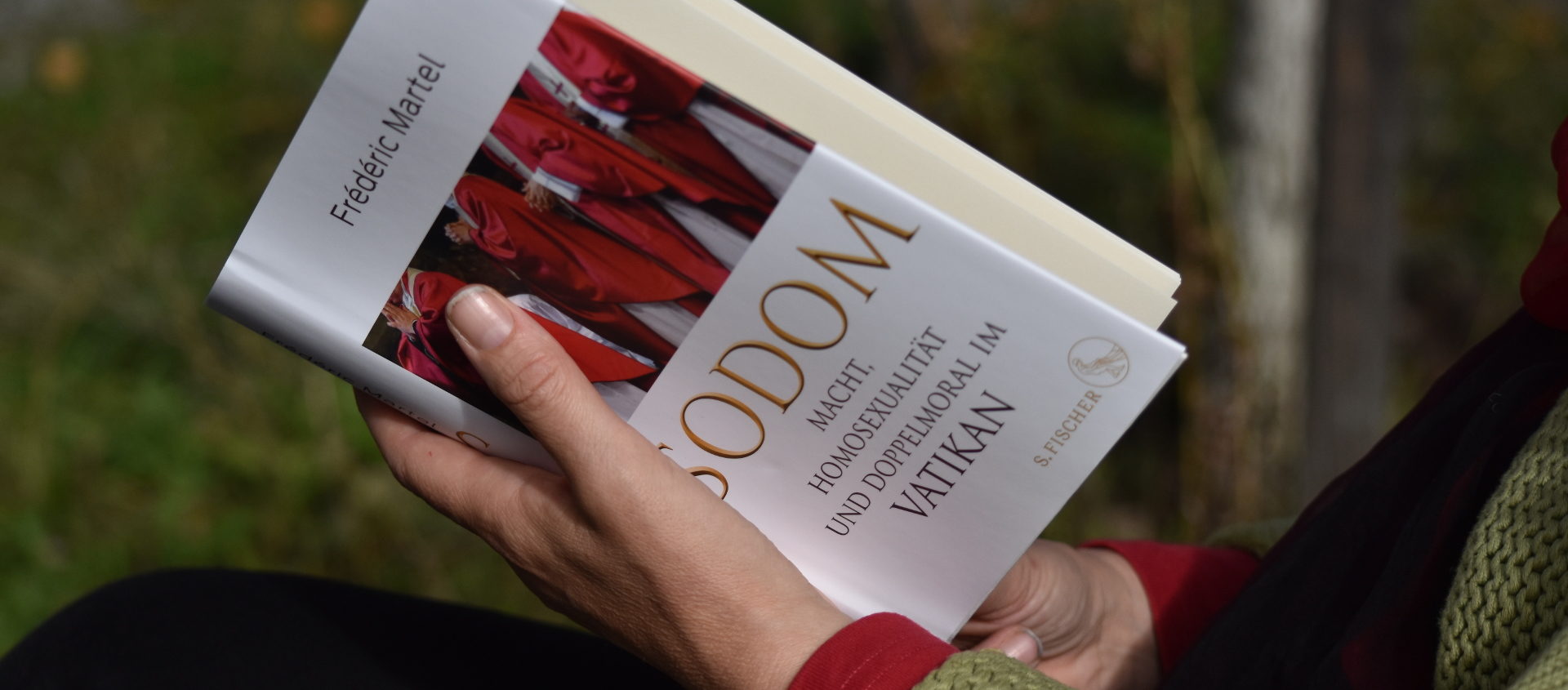 «Sodom» von Frédéric Martel