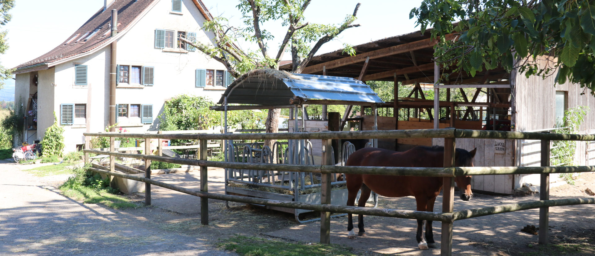 Der Hof Narr im zürcherischen Hinteregg