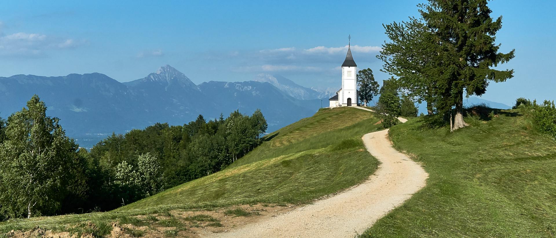 Auf dem Weg zur Erneuerung der Kirche