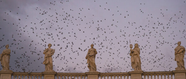 Vogelschwarm über den Heiligenfiguren beim Petersdom. | KNA