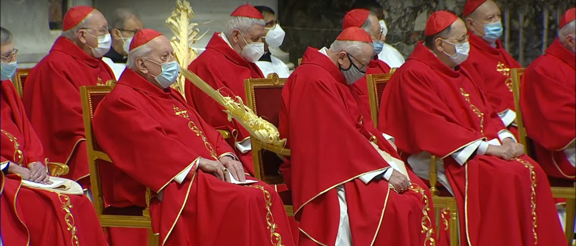 Kardinäle am Palmsonntagsgottesdienst in Rom.