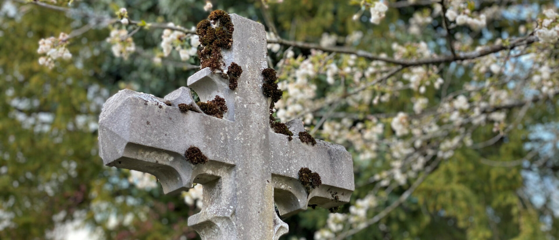 Tübinger Stadtfriedhof.