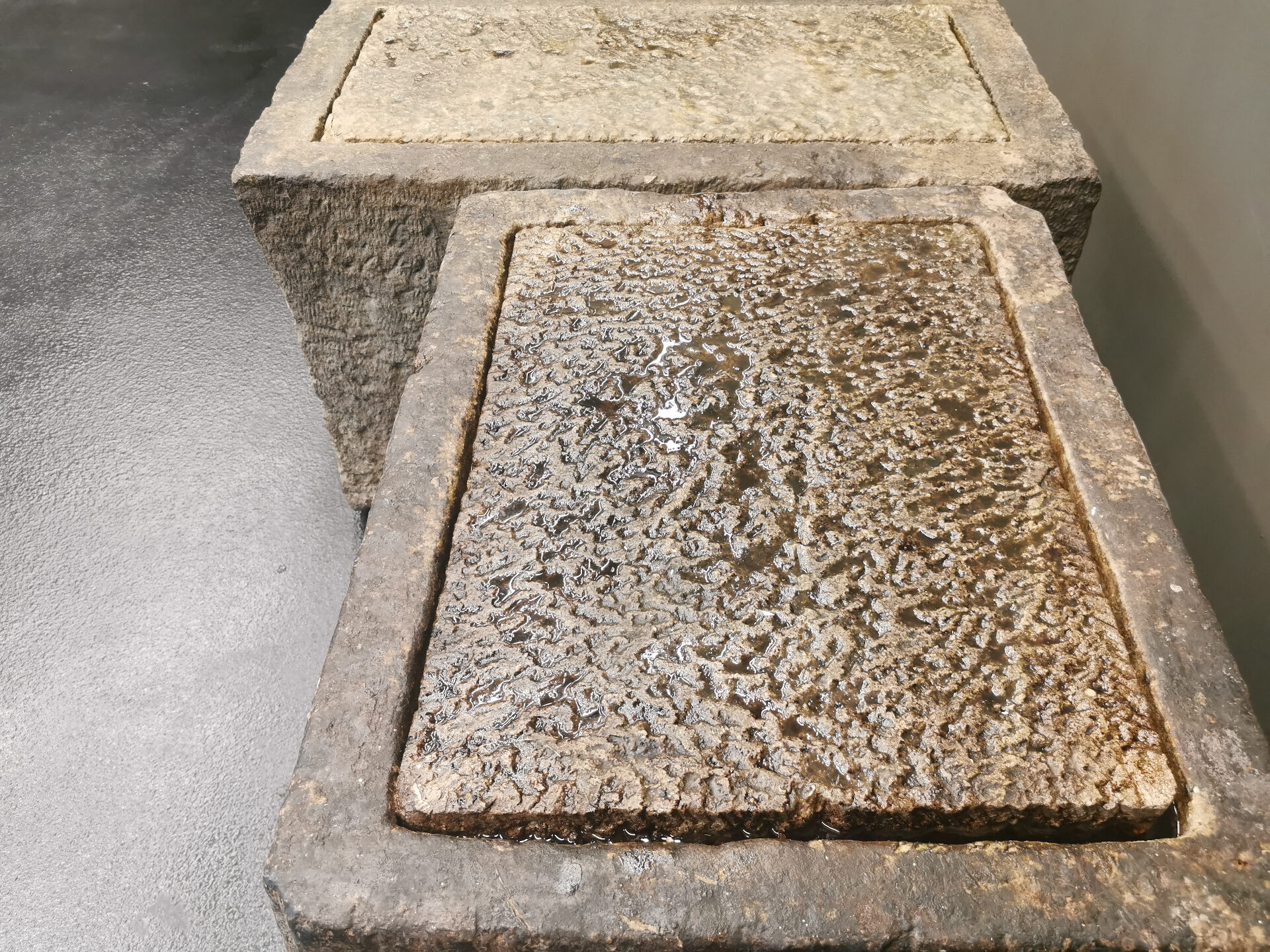 Kunst von Joseph Beuys im Kunsthaus Zürich