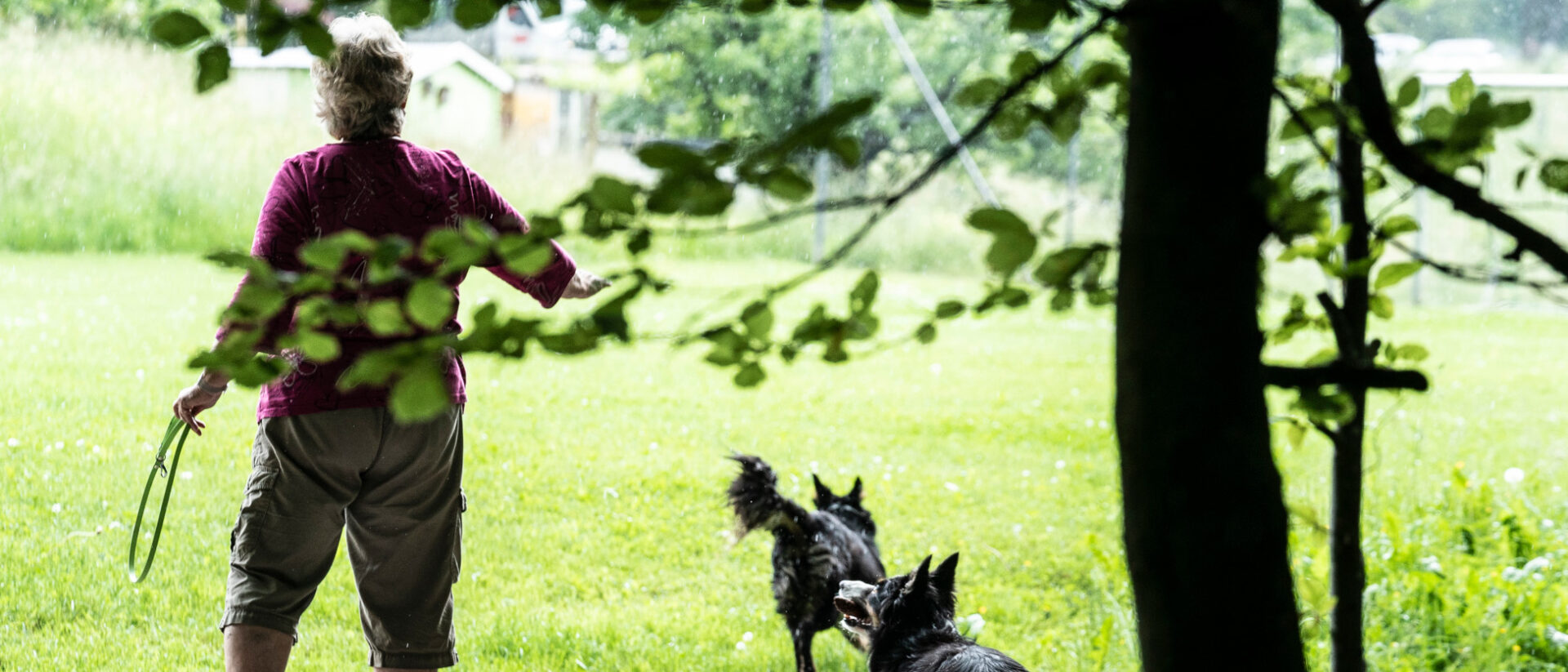 Eine Frau spielt mit ihrem Hund.