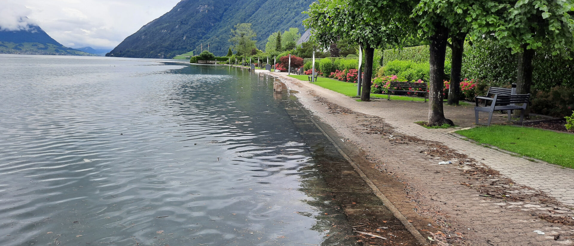 Brunnen SZ: Der Vierwaldstättersee ist voll, die Stufen zum See sind unter Wasser am 16.7.2021