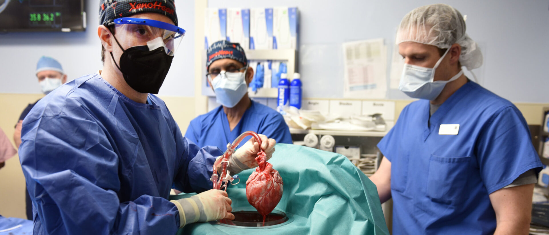 Schweineherz-Transplantation an der University of Maryland