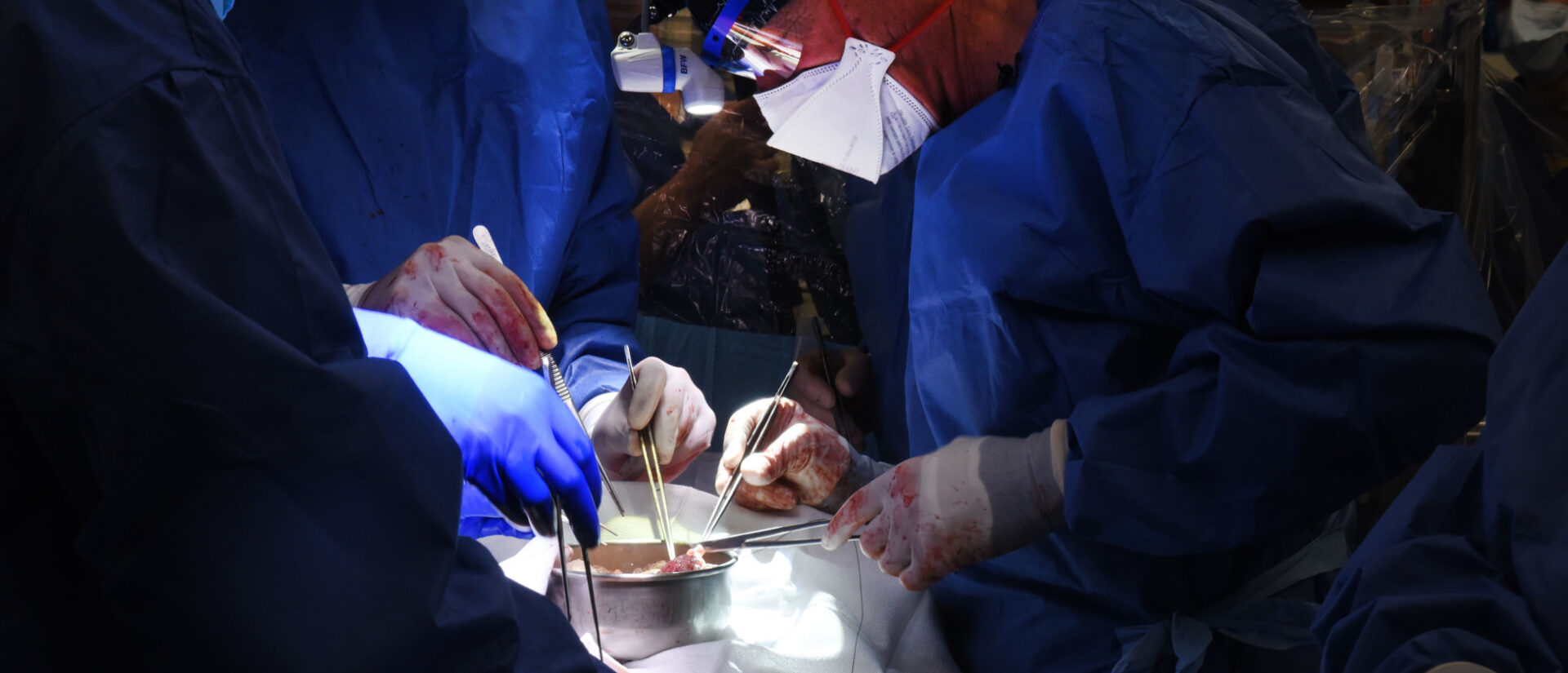 Schweineherz-Transplantation an der University of Maryland