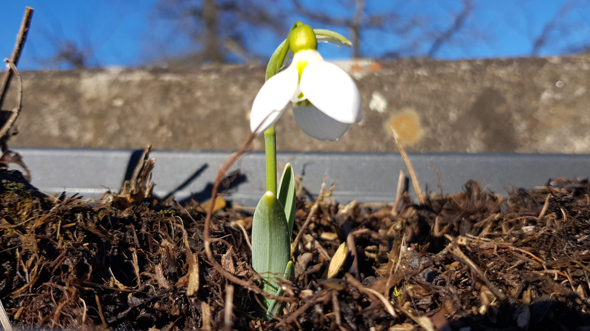 Frühlingsgefühle im Februar.