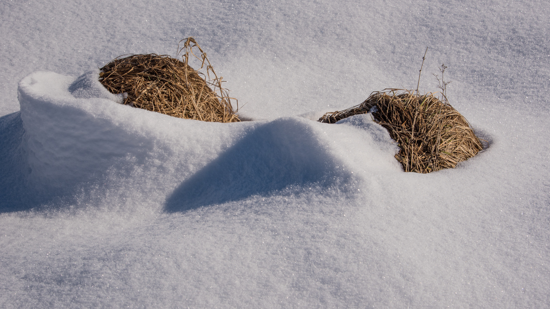 Schneeskulptur von der Natur geformt