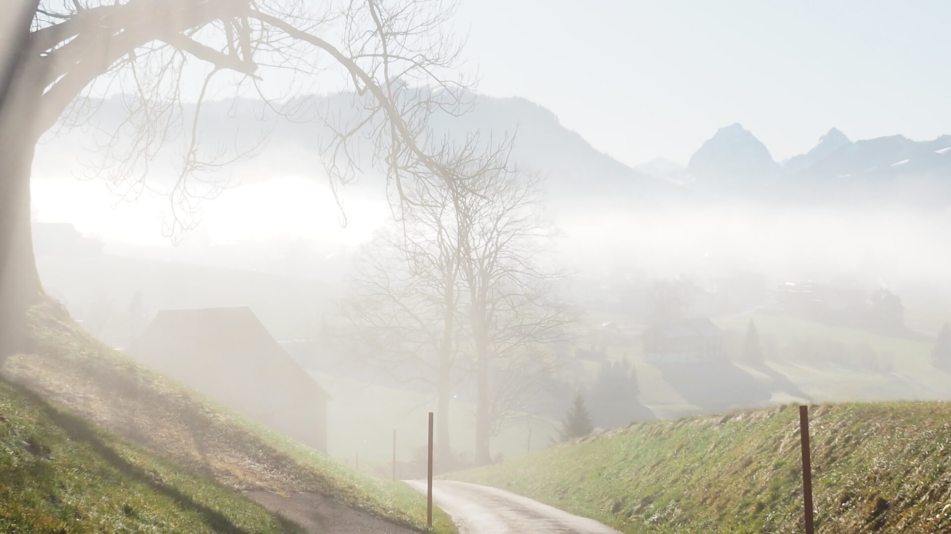 Der Nebel lichtet sich