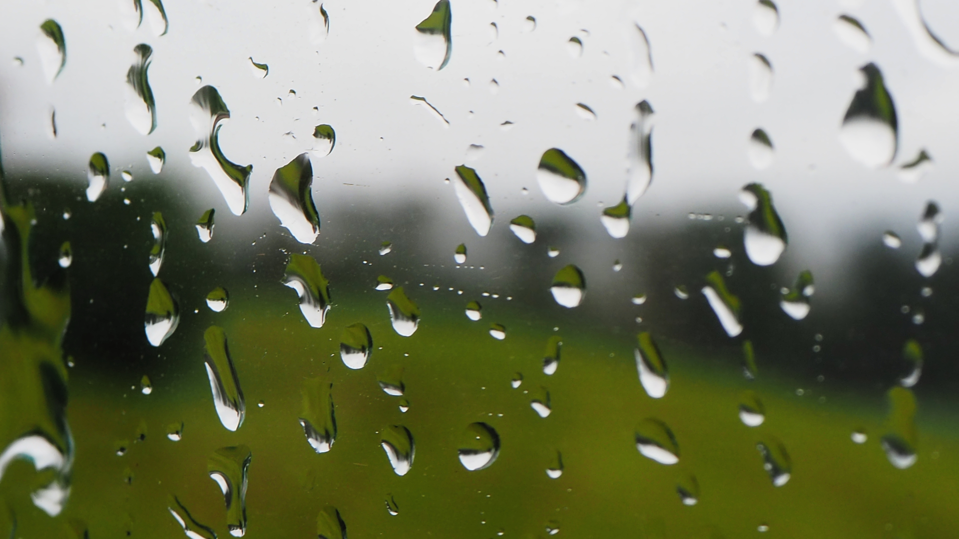 Regen