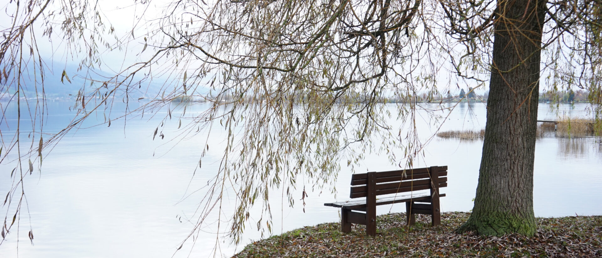 Bank beim Klosters Mariazell-Wurmsbach, am Ufer des Zürichsees.