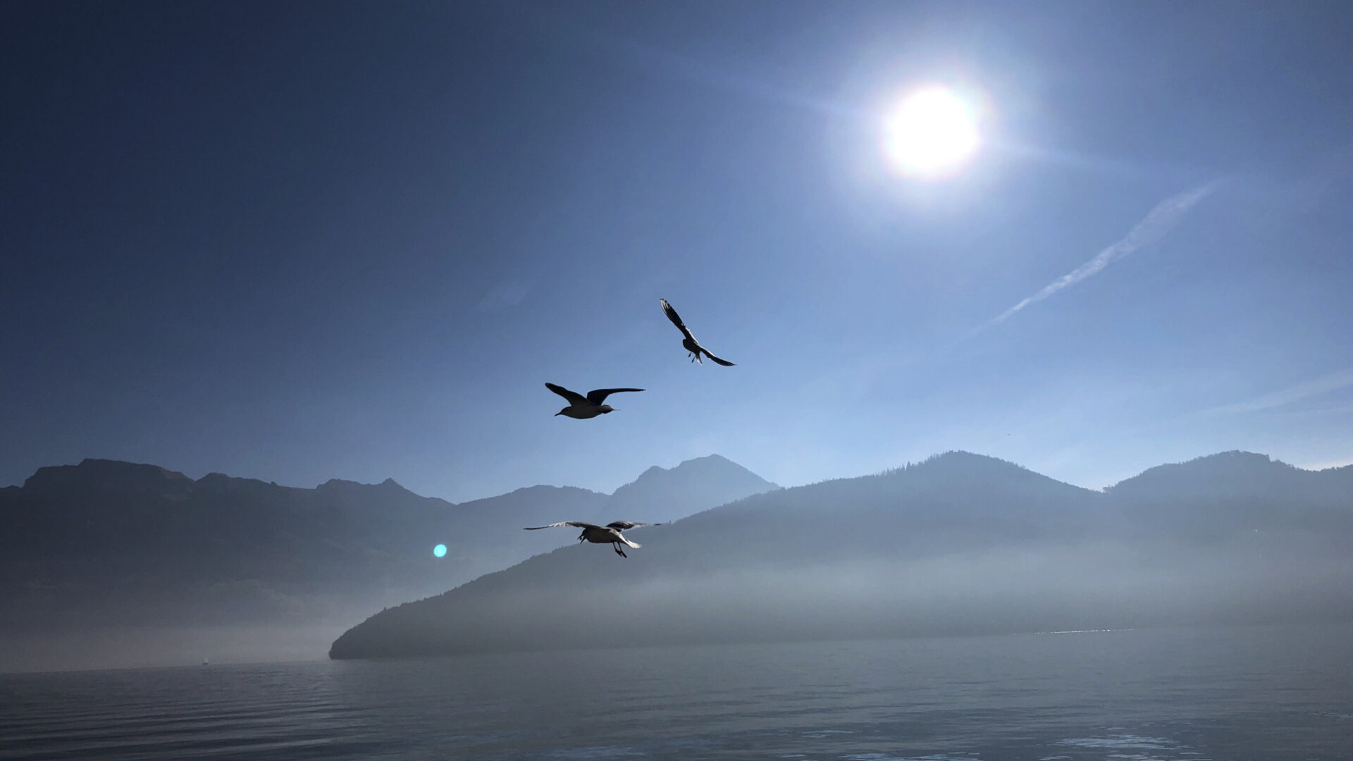 Sommer und vogelfrei