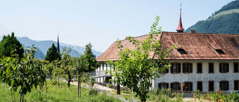 "Essbare Landschaft" im Klostergarten | Vera Rüttimann