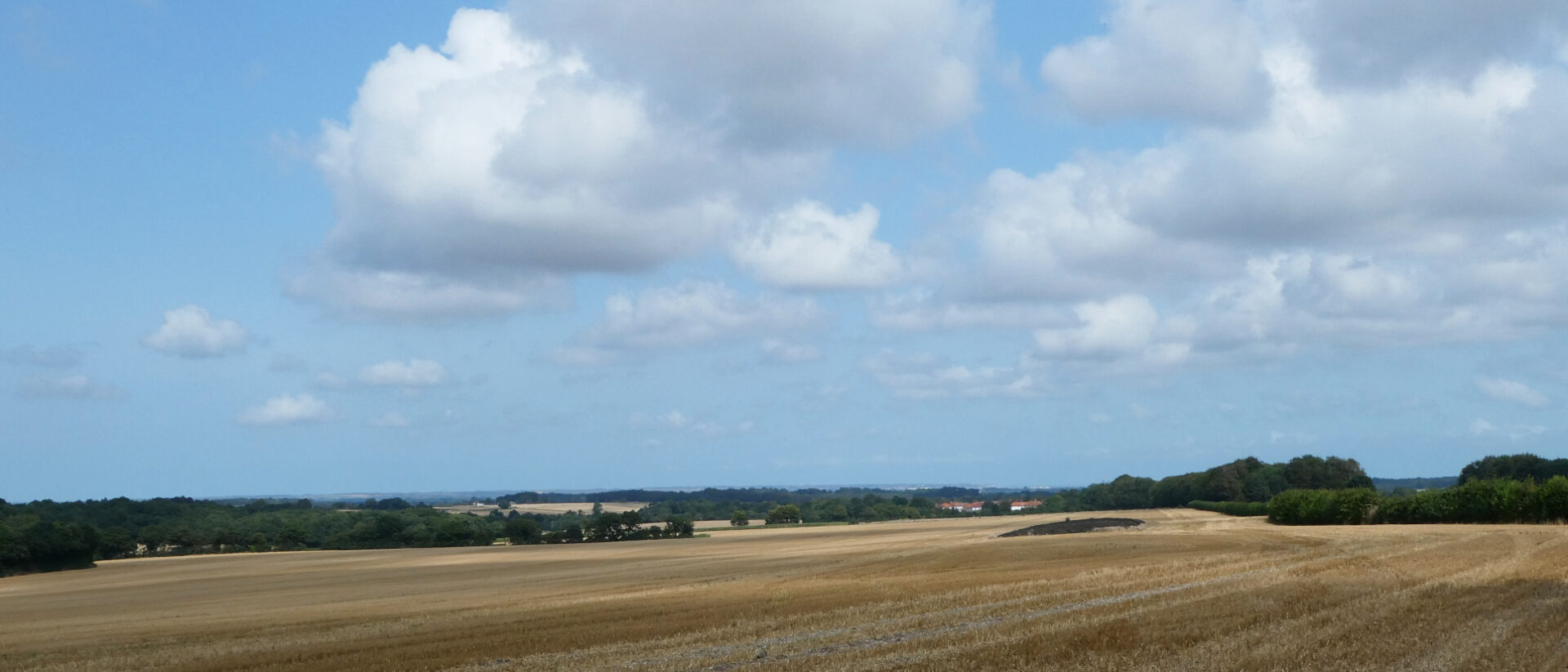 Fast schon am Ziel: Fernwanderer Joseph Deiss mit einer Landschaftsimpression von Kent.
