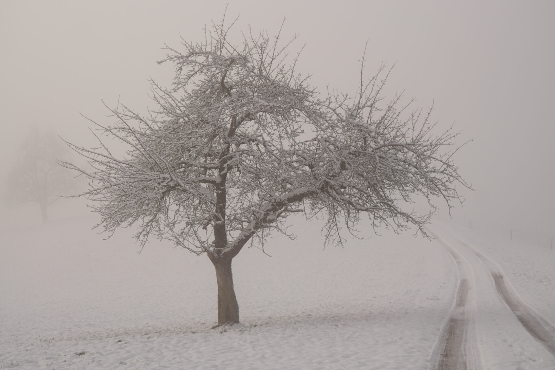 Ein Wintermärchen – unterwegs zum Kloster Wonnenstein.