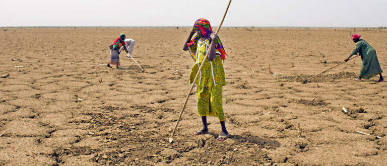 Dürre in Afrika | Luca Zanetti, Caritas